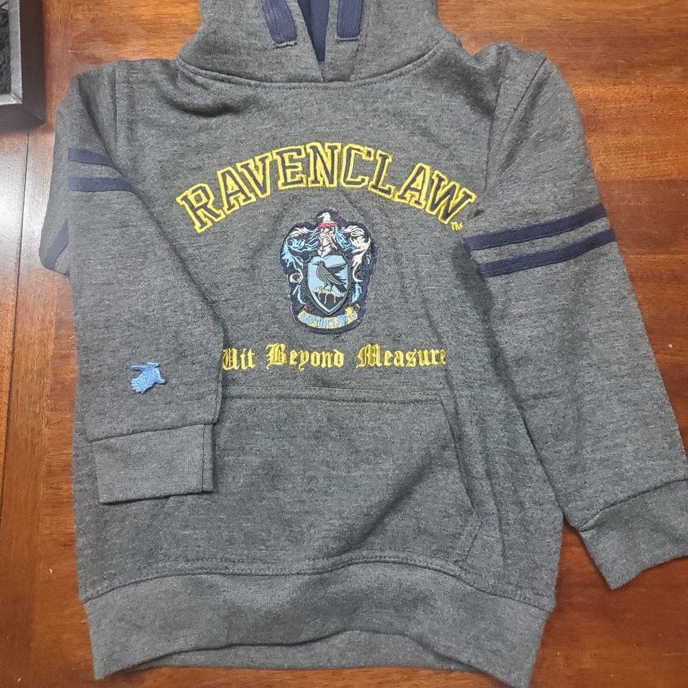 Ravenclaw Harry Potter Hooded sweatshirt